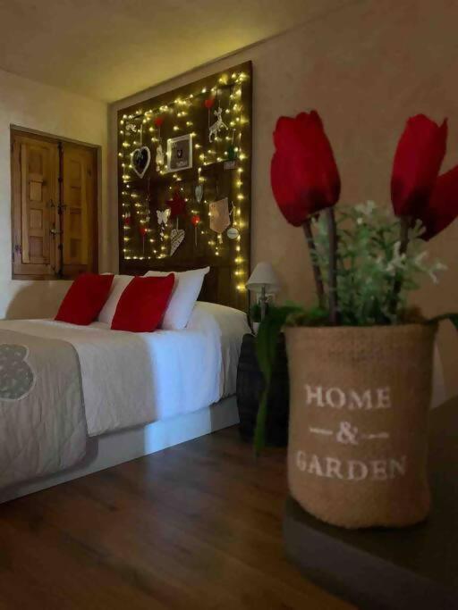 Luxury Danna Plaza Mayor Куенка Екстер'єр фото
